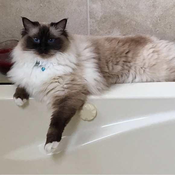 🚀☀️💝Meet your Posher, Patricia💝☀️🚀 - Picture 5 of 9